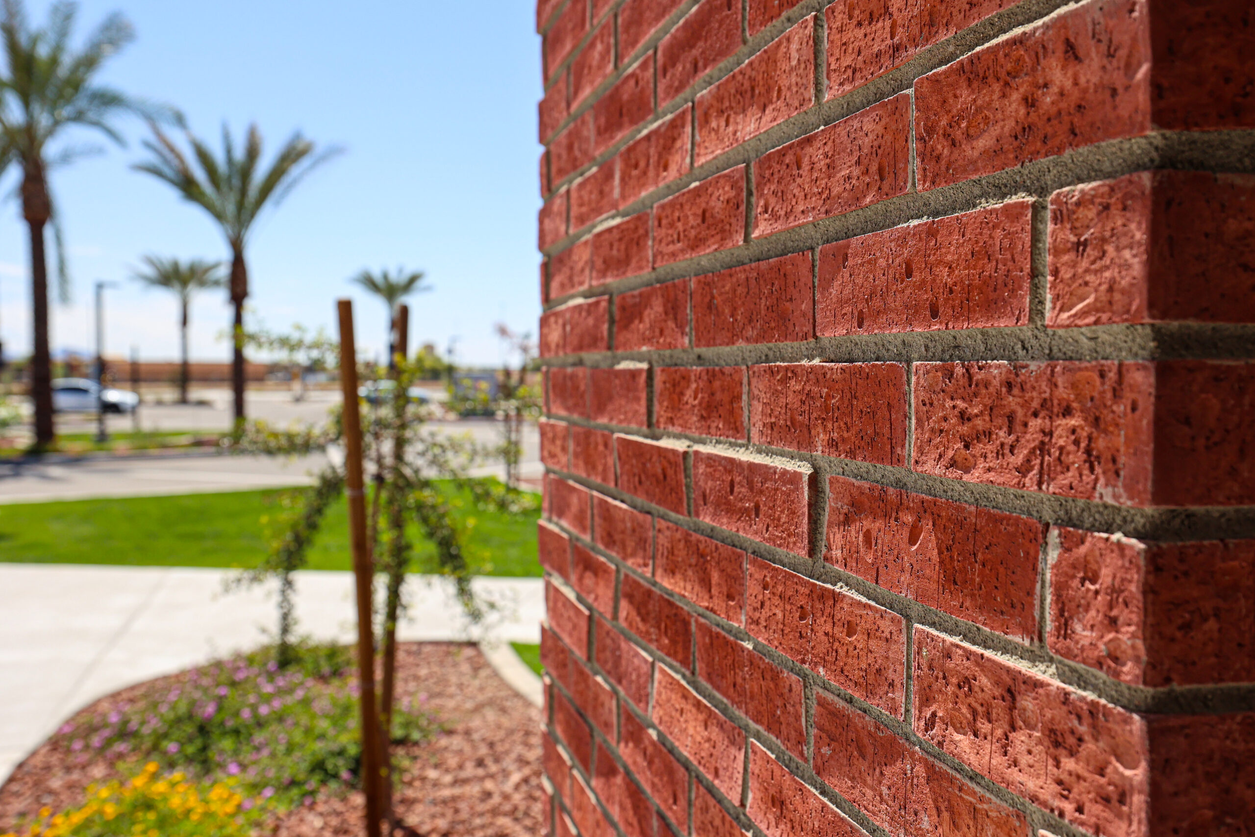 Arabian Brick Intense Red